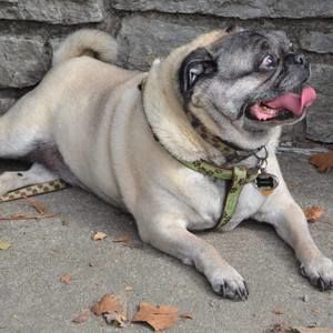 Meet your Posher, Deborah